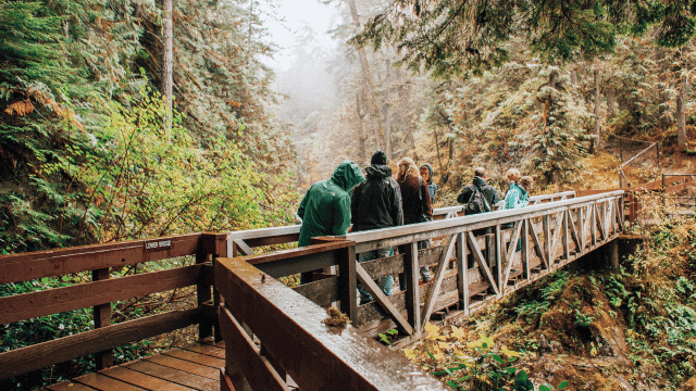 Jovenes caminando por el bosque