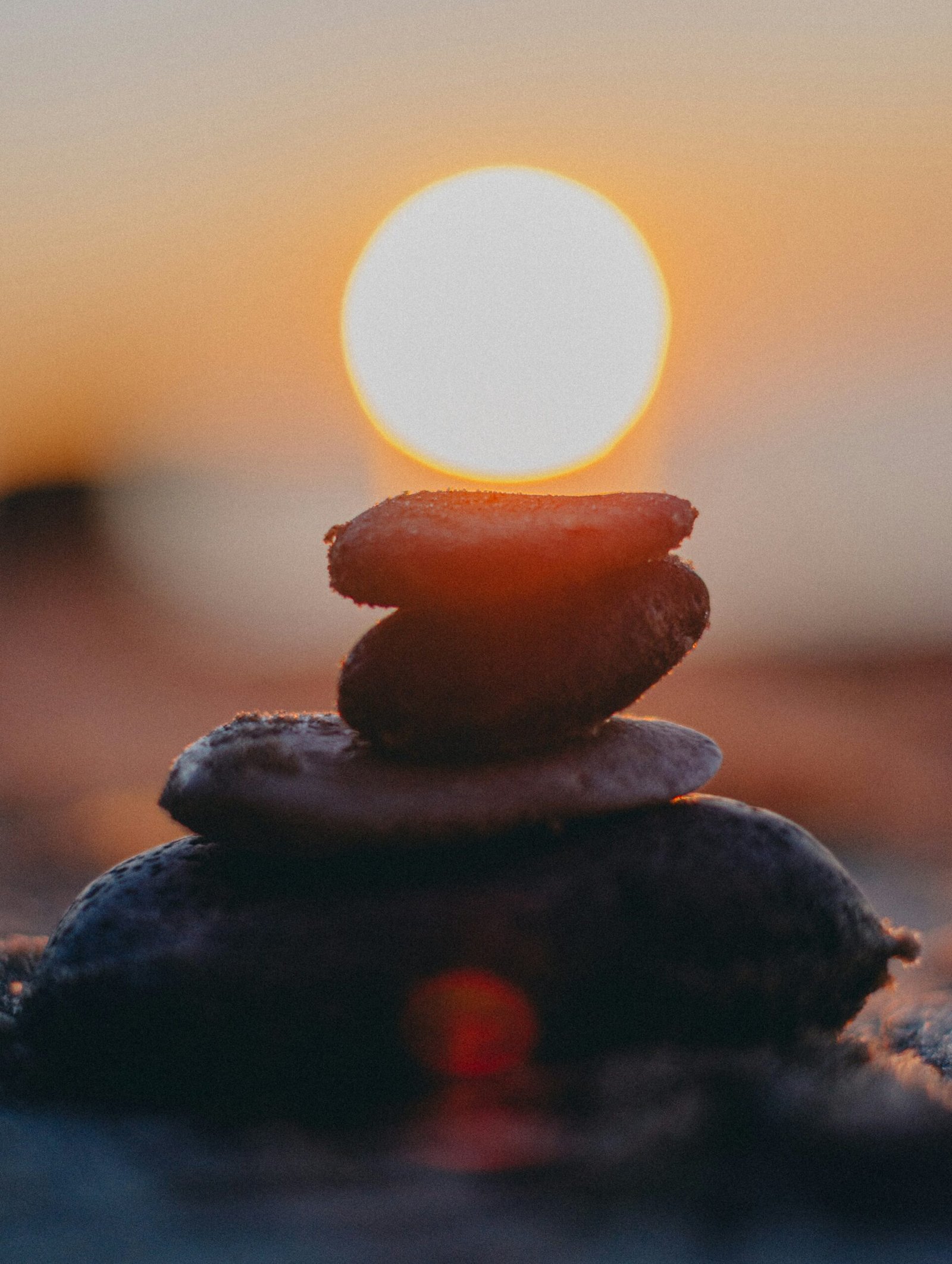 El Despertar: Más allá de la dicha, el éxtasis y los mitos espirituales